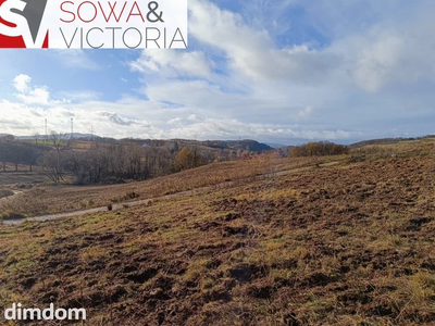 Widokowe działki w Cieszowie, gm.Stare Bogaczowice - 3