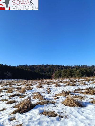 Działki blisko natury - 4
