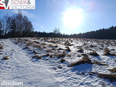 Działki blisko natury - 5