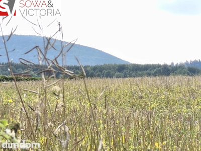 Ostatnia działka, koniec drogi, Warunki Zabudowy