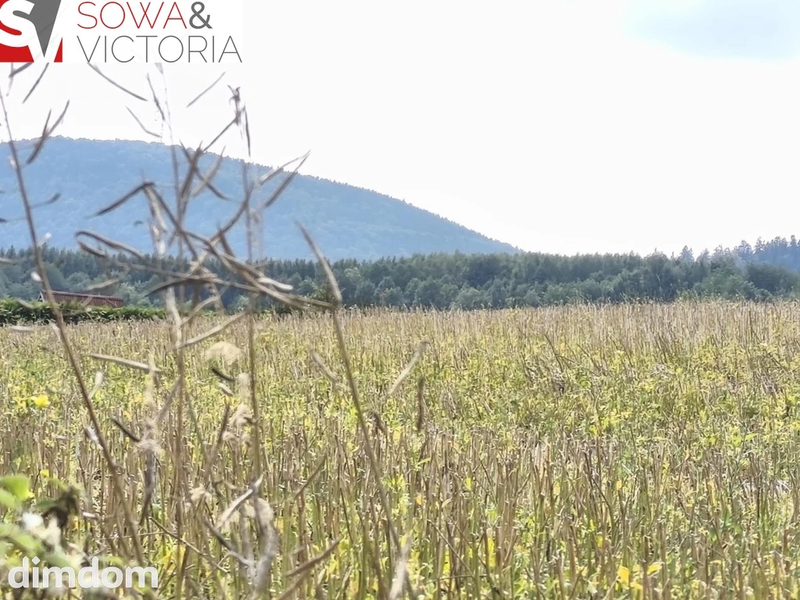 Ostatnia działka, koniec drogi, Warunki Zabudowy - 107804132.jpg