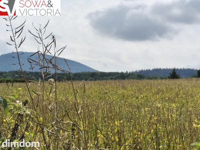 Ostatnia działka, koniec drogi, Warunki Zabudowy - 2
