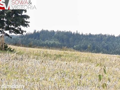 Ostatnia działka, koniec drogi, Warunki Zabudowy - 3