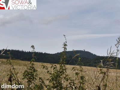Ostatnia działka, koniec drogi, Warunki Zabudowy - 4