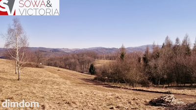 Panorama Góry Sowie - 3