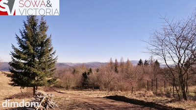 Panorama Góry Sowie - 4