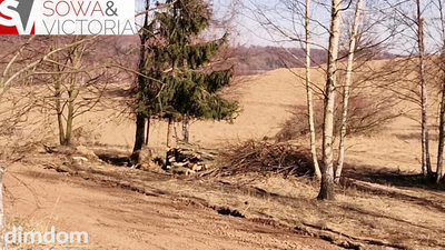 Panorama Góry Sowie - 2
