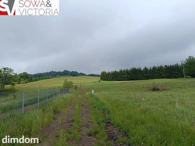 Kameralne miejsce z przyłączem  elektrycznym - 4