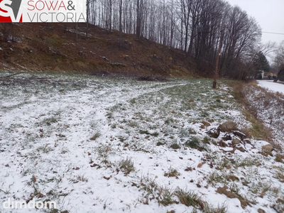 Działka budowlana z lasem
