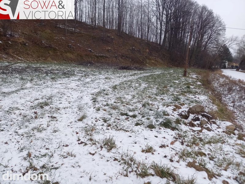 Działka budowlana z lasem - 103125809.jpg