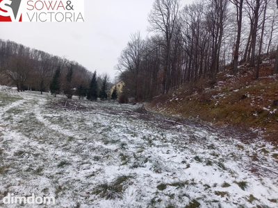 Działka budowlana z lasem - 2