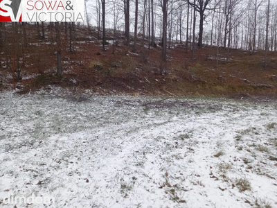 Działka budowlana z lasem - 3