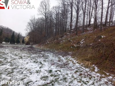 Działka budowlana z lasem - 4