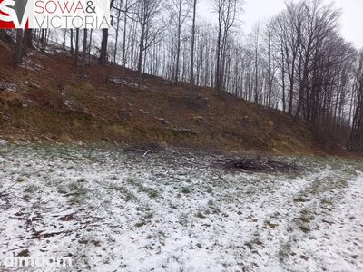 Działka budowlana z lasem - 5