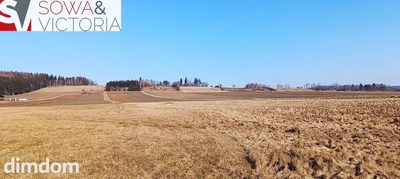 Słoneczna, atrakcyjna działka budowlana w Borównie - 4