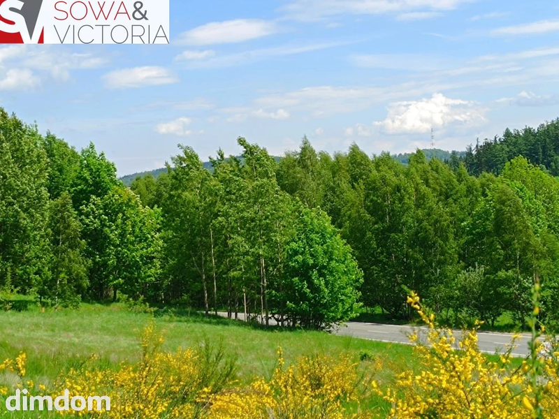 Działka budowlana, 3 km od Wałbrzycha - Promocja! - 105868744.jpg