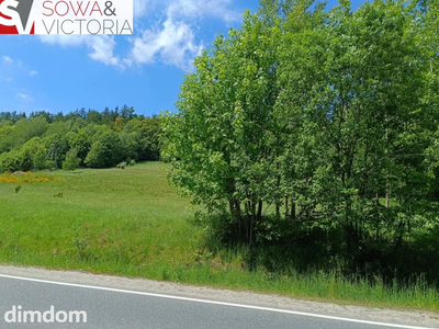 Działka budowlana, 3 km od Wałbrzycha - Promocja! - 4