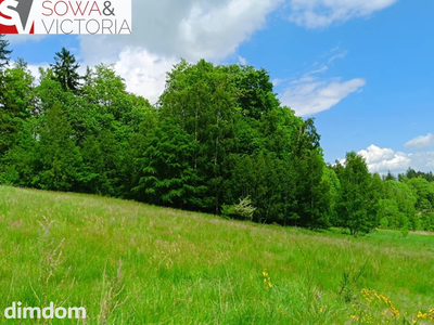 Działka budowlana 3 km od Wałbrzycha