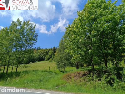 Działka budowlana 3 km od Wałbrzycha - 3