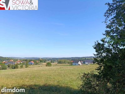 Działki przy lesie  7 km od Wałbrzycha - 3