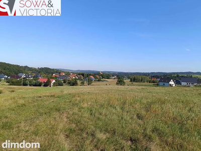 Działki przy lesie  7 km od Wałbrzycha - 5