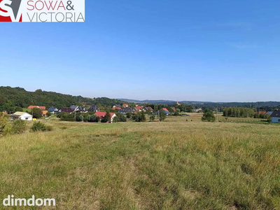 Działki przy lesie  7 km od Wałbrzycha - 4