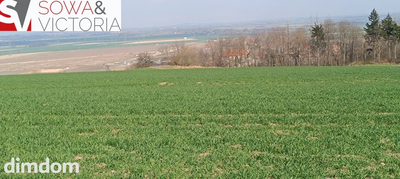 Piękna, otoczona lasem działka w Dobromierzu - 2