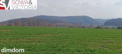 Piękna, otoczona lasem działka w Dobromierzu - 5