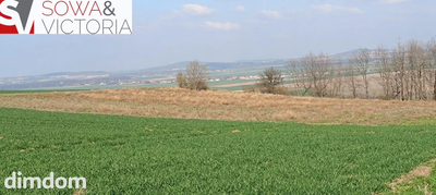 Piękna, otoczona lasem działka w Dobromierzu - 4