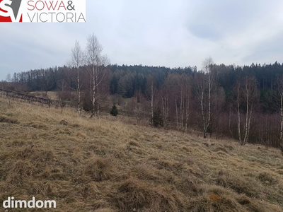 Działki z na łonie natury - 5