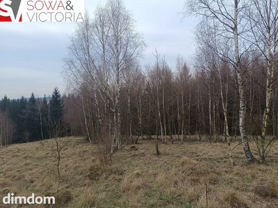 Działki z na łonie natury - 2