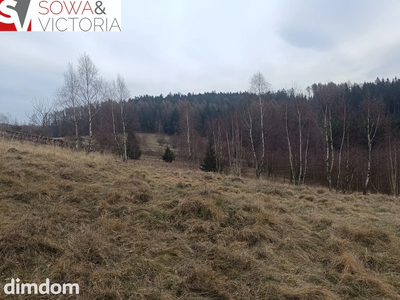 Działki z na łonie natury - 3