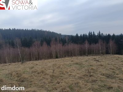 Działki z na łonie natury - 4