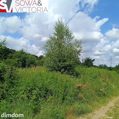 Działka rolna na obrzeżach Świebodzic. - 2
