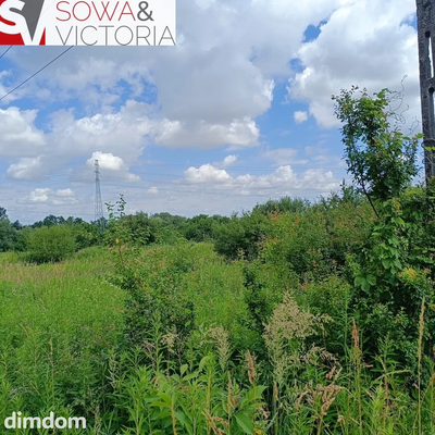 Działka rolna na obrzeżach Świebodzic. - 5