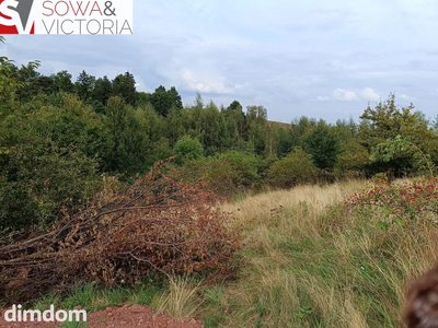 Działki w pobliżu Szczawna Zdroju - 4