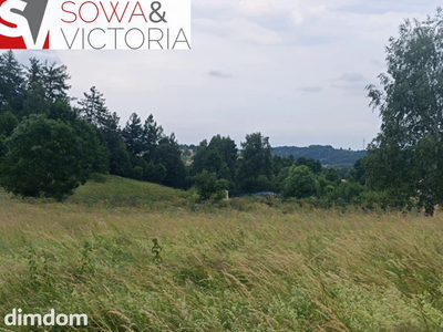 Działka przy lesie w sąsiedztwie zalewu - 2