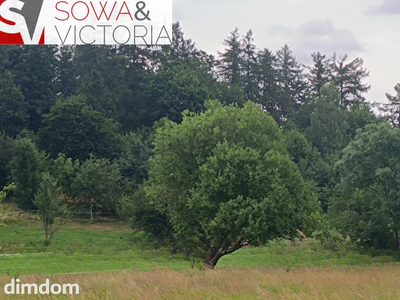 Działka przy lesie w sąsiedztwie zalewu - 3