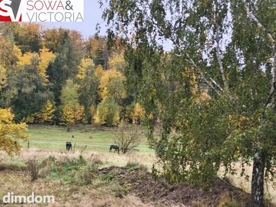Działka przy lesie w sąsiedztwie zalewu - 4