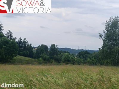 Działka przy lesie w sąsiedztwie zalewu - 5