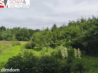 Zagospodarowana działka z sadem , prąd na działce
