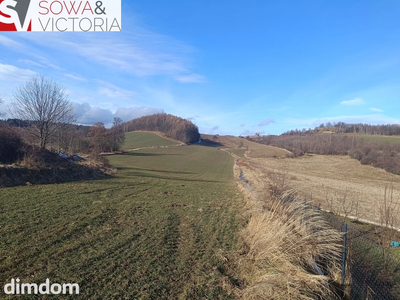Działka rolna w atrakcyjnej cenie - 3