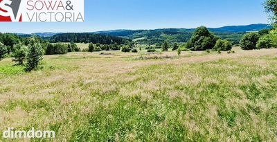 Natura Przestrzeń Spokój i Góry Sowie - 3