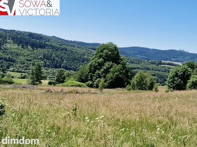 Natura Przestrzeń Spokój i Góry Sowie - 2