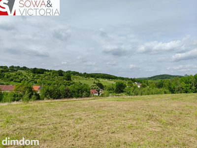 Skrajna działka pod lasem