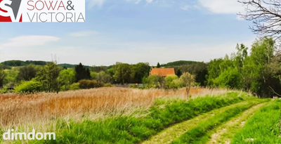 Skrajna działka pod lasem - 2