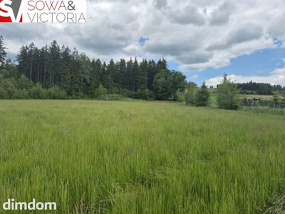 Działki budowlane przy lesie w Borównie. - 3