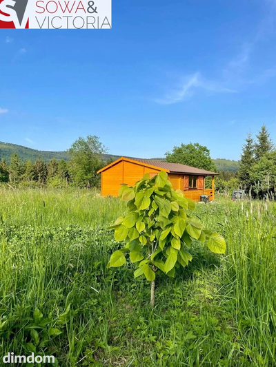 Domek rekreacyjny na działce 2000 m2 Sierpnicy.