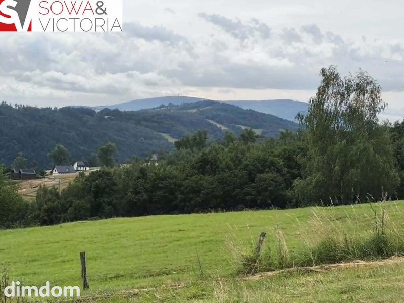 Panoramiczny widok na szczyty gór, ok 1 km od PKP - 113698203.jpg