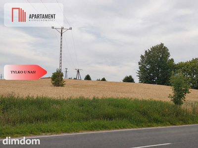 Duża działka inwestycyjna, możliwość zakupu dwóch - 4